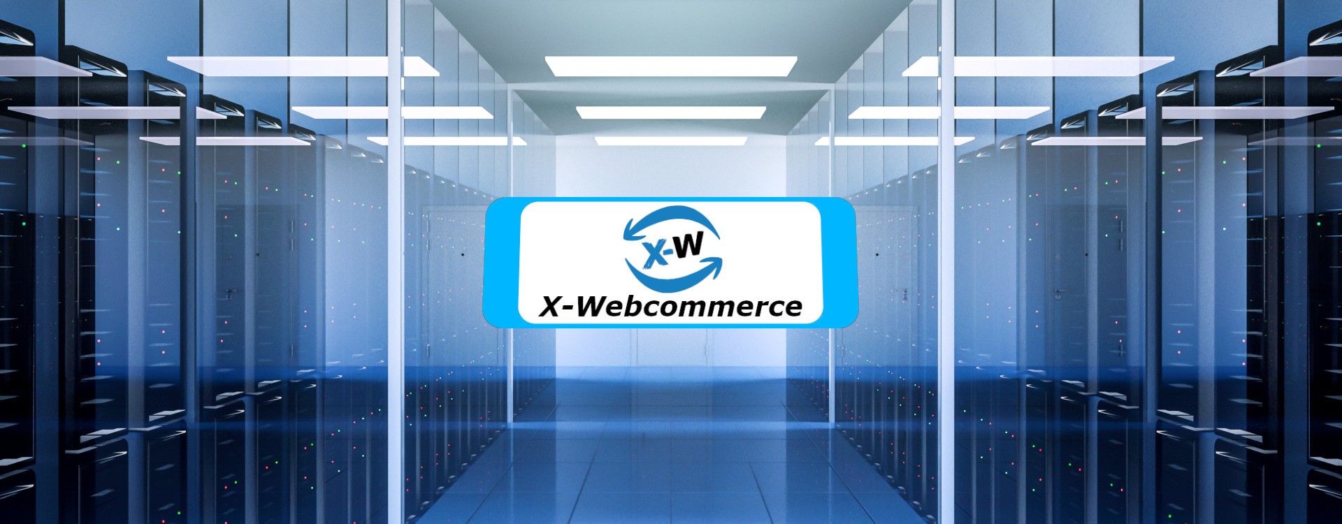 Scopri di più sull'articolo X-Webcommerce realizza una propria Network Smart